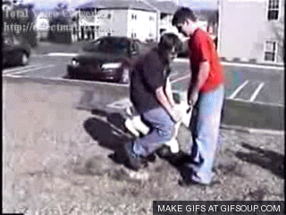 Painful Nut Shots (26 gifs)