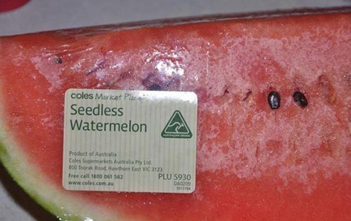 Sorry but You’re Not Fooling Anyone (40 pics)