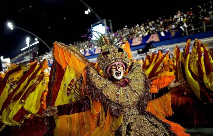Carnival in Rio 2013 (44 pics)