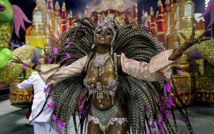 Carnival in Rio 2013 (44 pics)