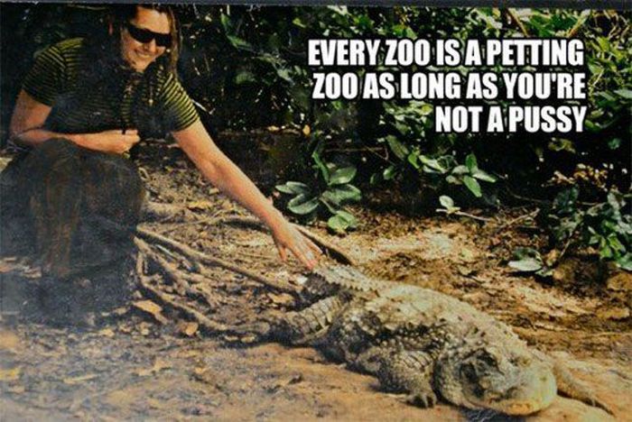 Things That Every One Agrees With (38 pics)