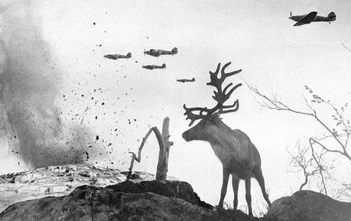 Historical Photos (22 pics) Historical Photos (22 pics)