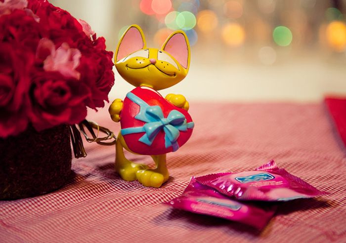 Valentines Day Photos (32 pics)