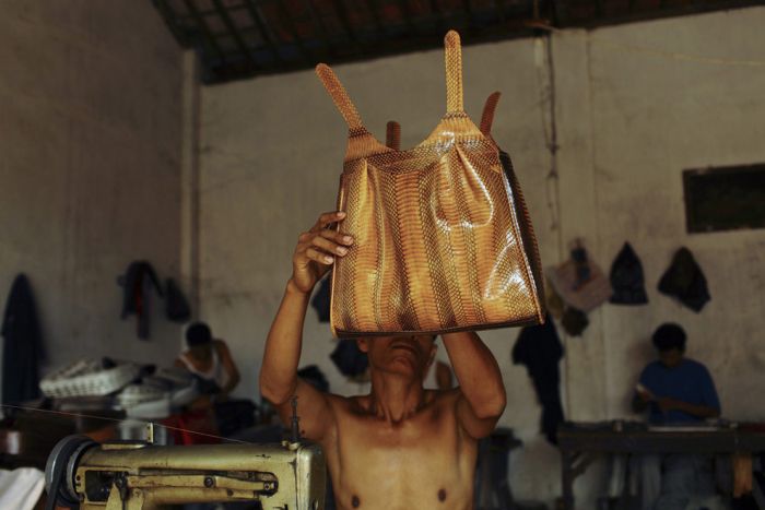 Production of Snakeskin Handbags (22 pics)