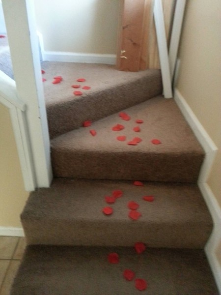 Trolling a Roommate on Valentine's Day (5 pics)
