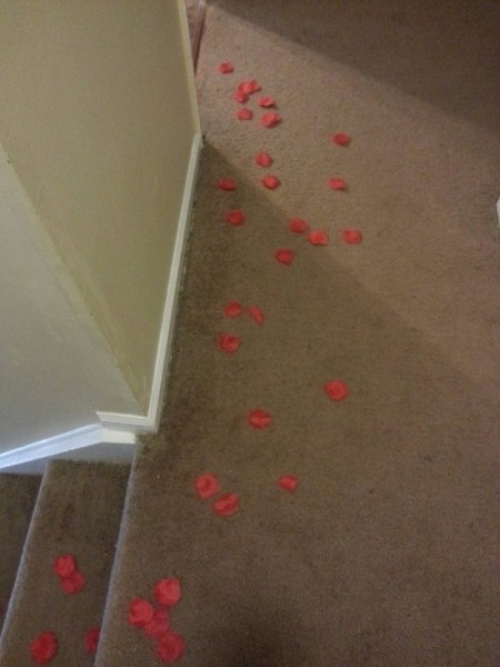 Trolling a Roommate on Valentine's Day (5 pics)