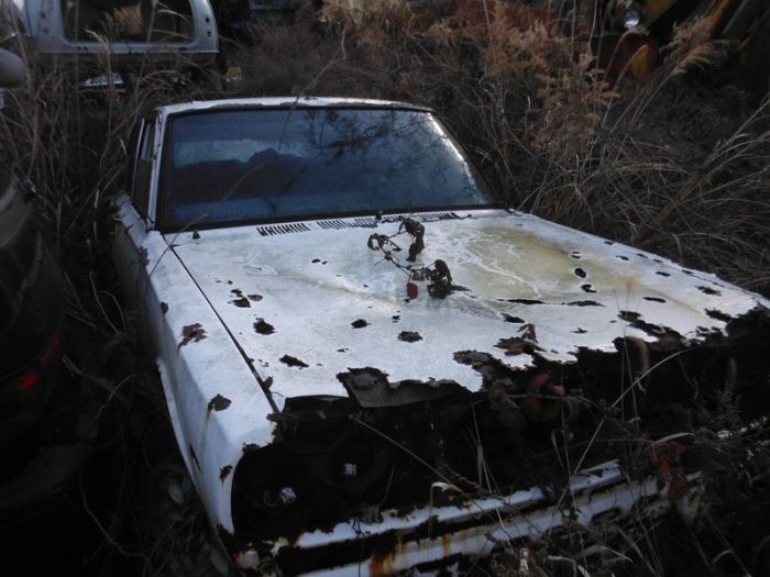 Abandoned Car Graveyard in Japan (60 pics)