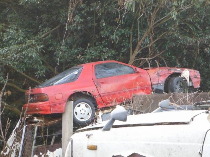 Abandoned Car Graveyard in Japan (60 pics)