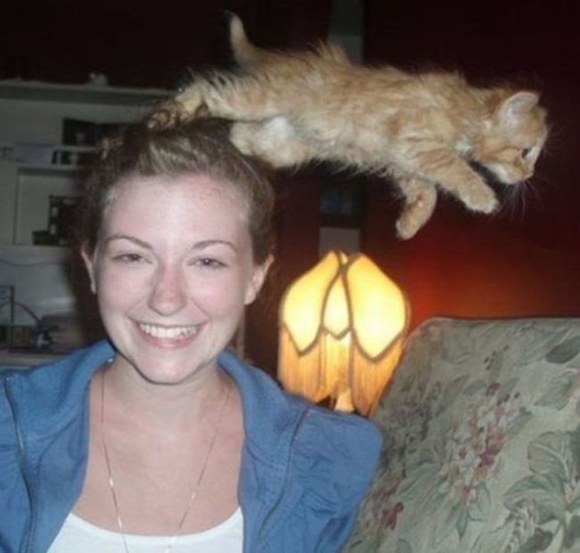 Photobombs. Part 26 (49 pics)