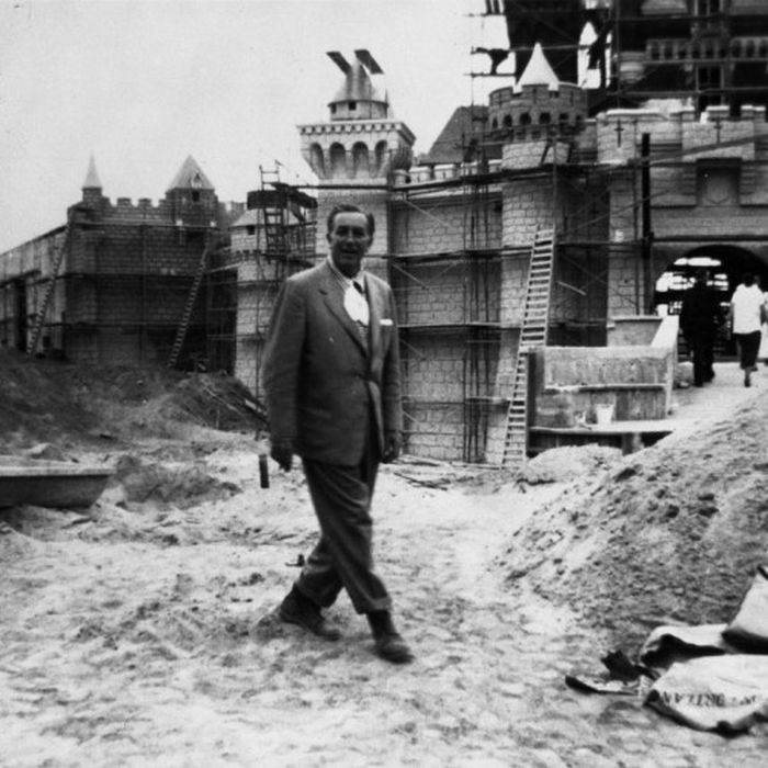 Construction of Disneyland (14 pics)
