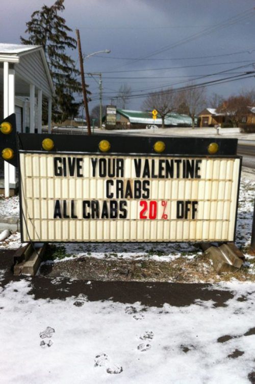 WTF Signs. Part 26 (29 pics)