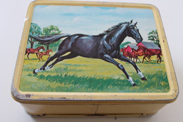 Vintage Lunch Boxes (101 pics)
