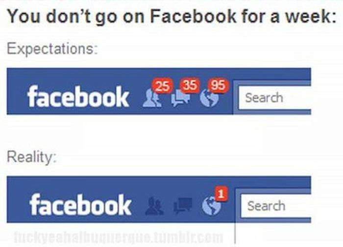 Things That are Better in Your Head than in Real Life (50 pics)