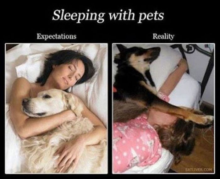 Things That are Better in Your Head than in Real Life (50 pics)
