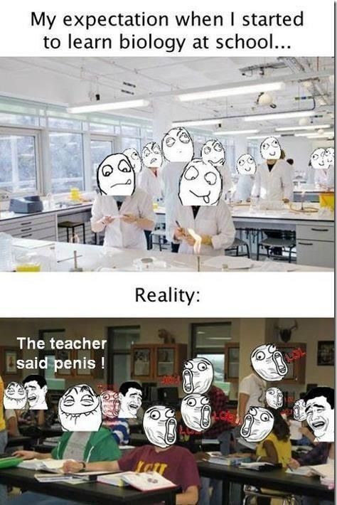 Things That are Better in Your Head than in Real Life (50 pics)
