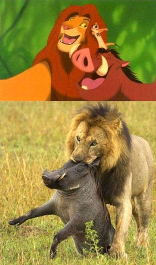 Things That are Better in Your Head than in Real Life (50 pics)