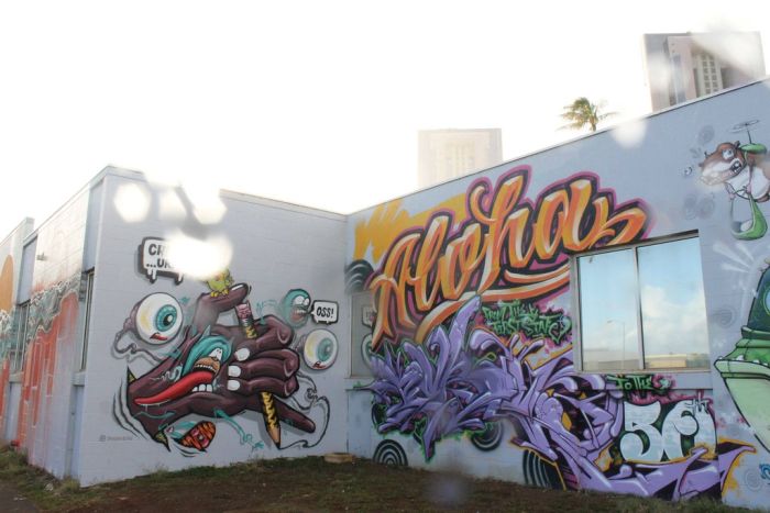 Hawaii Pow Wow Graffiti 2013 (48 pics)