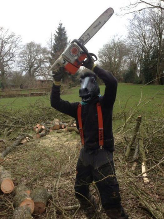 Just Horsing Around. Part 2 (41 pics)
