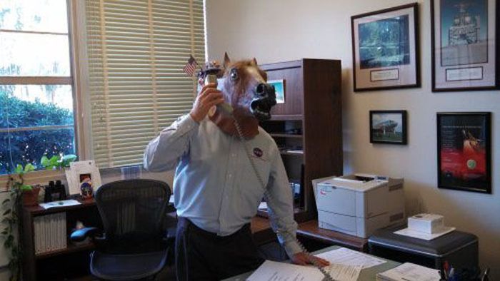 Just Horsing Around. Part 2 (41 pics)
