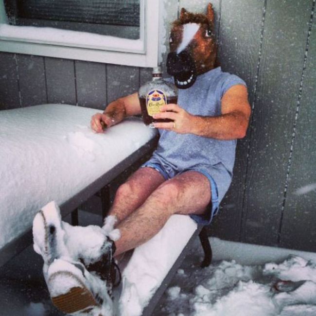 Just Horsing Around. Part 2 (41 pics)