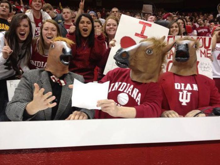 Just Horsing Around. Part 2 (41 pics)