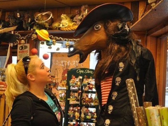 Just Horsing Around. Part 2 (41 pics)