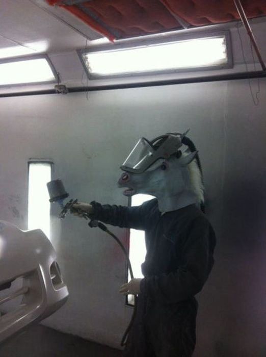 Just Horsing Around. Part 2 (41 pics)