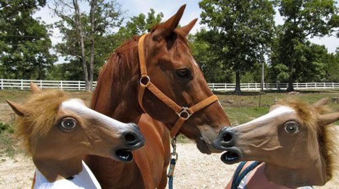 Just Horsing Around. Part 2 (41 pics)