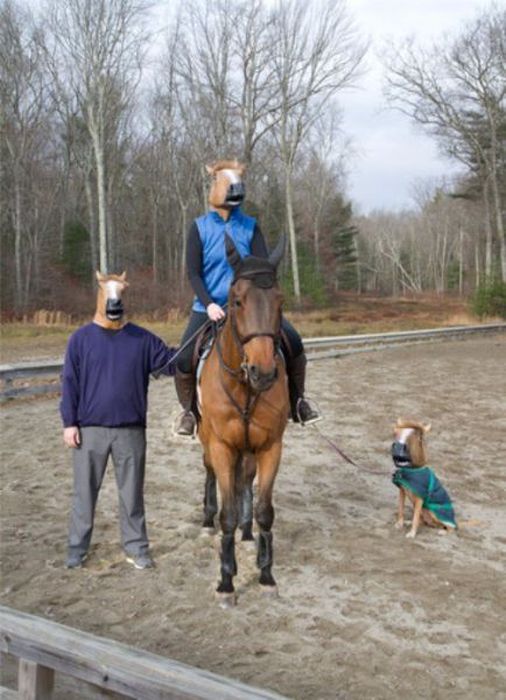 Just Horsing Around. Part 2 (41 pics)
