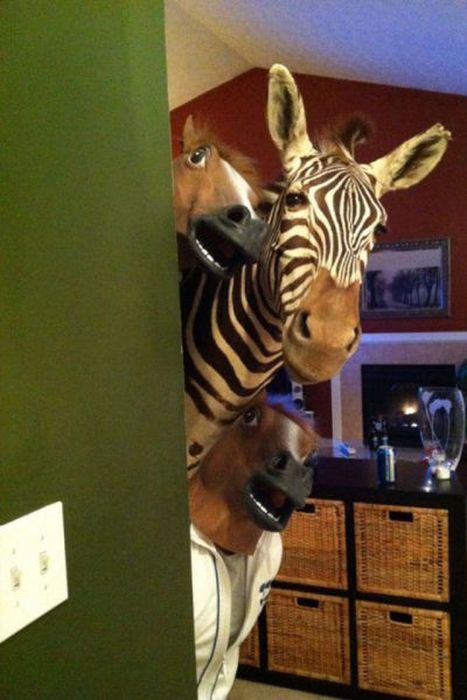 Just Horsing Around. Part 2 (41 pics)