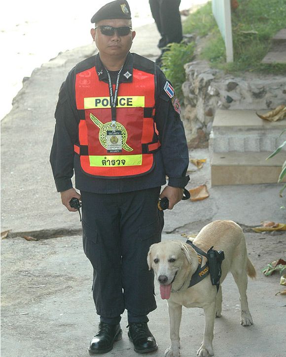 Police Dog in Thailand (3 pics)