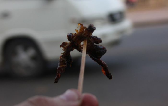 Cambodian Fried Spiders (16 pics)