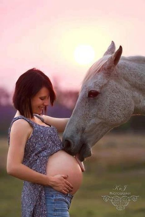 WTF Pictures (70 pics)