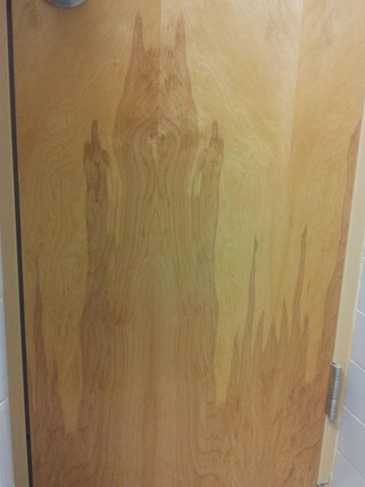 WTF Pictures (70 pics)