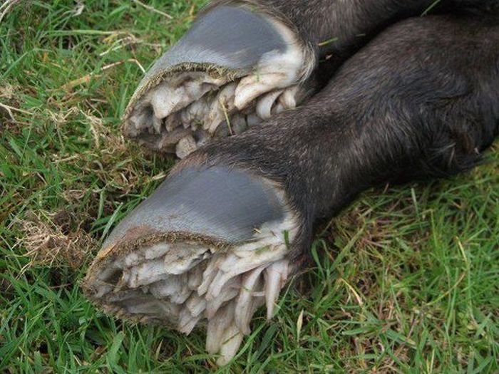 WTF Pictures (70 pics)