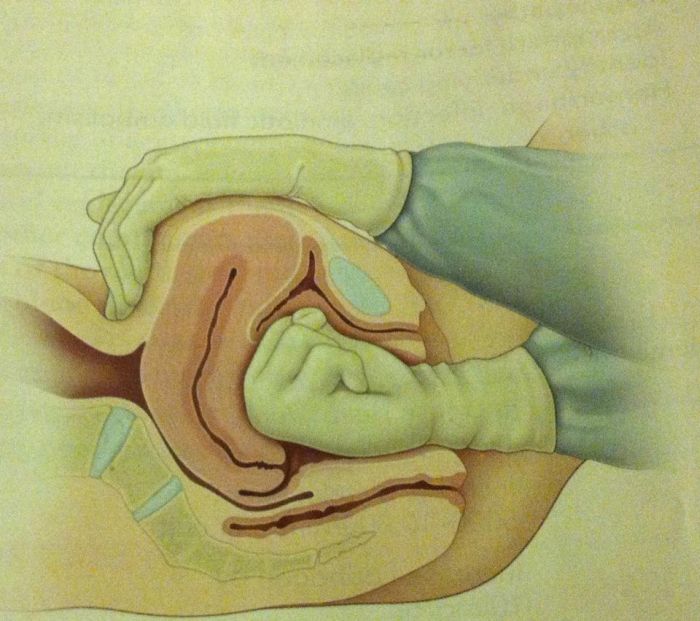 WTF Pictures (70 pics)
