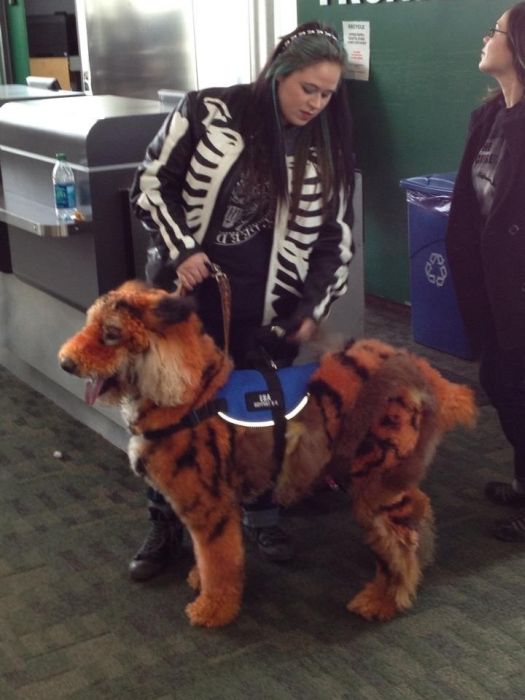 WTF Pictures (70 pics)