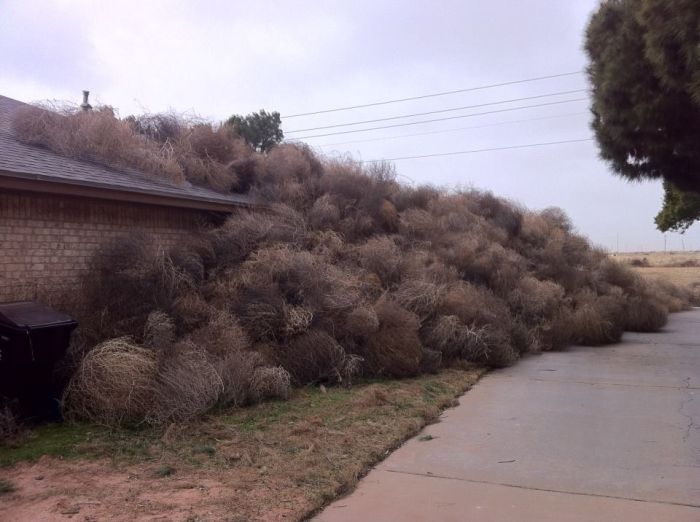 WTF Pictures (70 pics)
