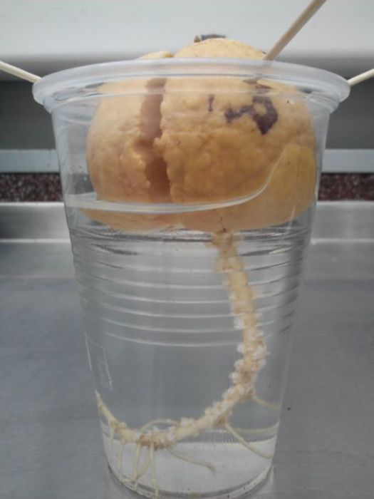 WTF Pictures (70 pics)