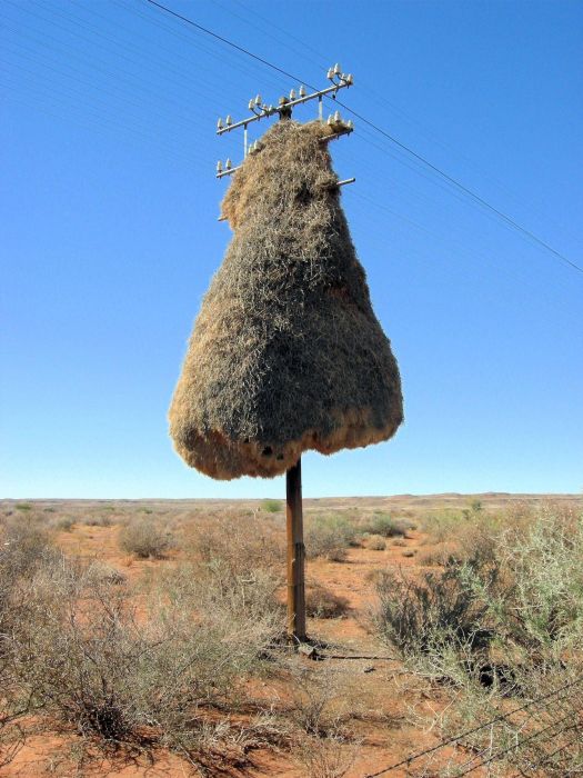 WTF Pictures (70 pics)