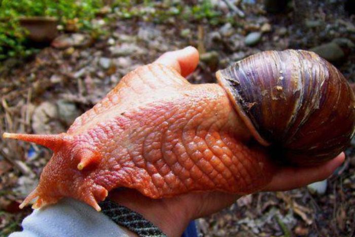 WTF Pictures (70 pics)