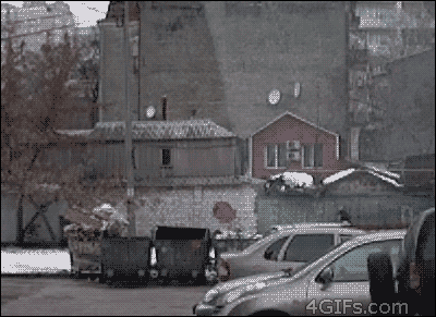 WTF Pictures (70 pics)