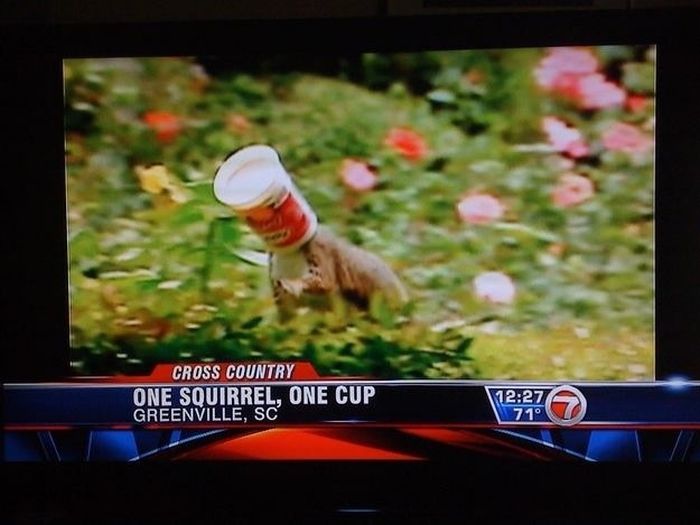 Weird Local News Captions (38 pics)