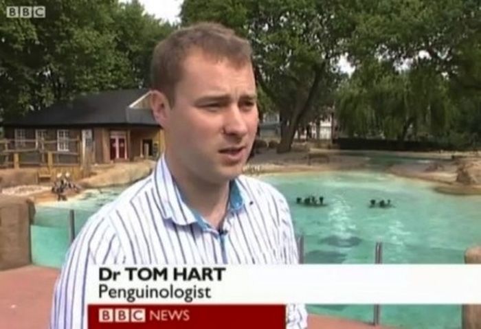 Weird Local News Captions (38 pics)