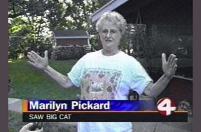 Weird Local News Captions (38 pics)