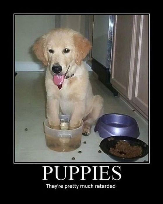 Funny Demotivational Posters, March 4, 2013 (32 pics)