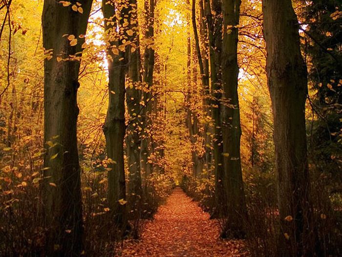 Beautiful Places (39 pics) Beautiful Places (39 pics)