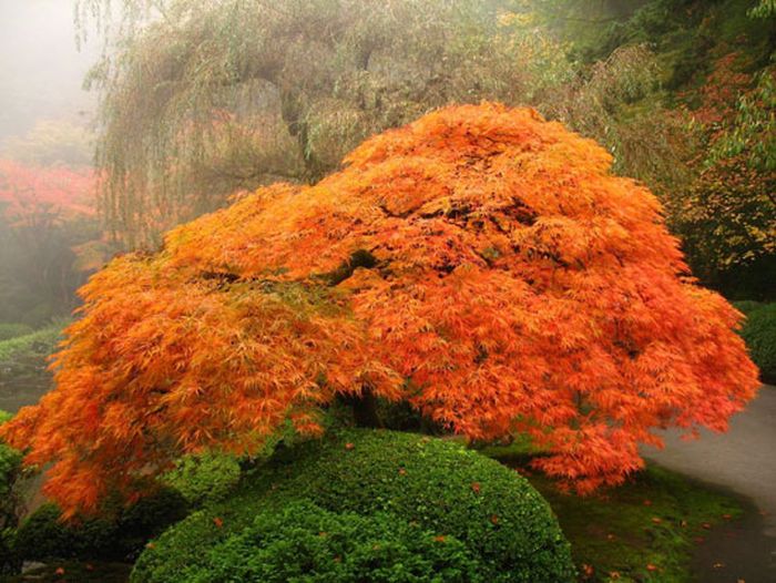 Beautiful Places (39 pics) Beautiful Places (39 pics)