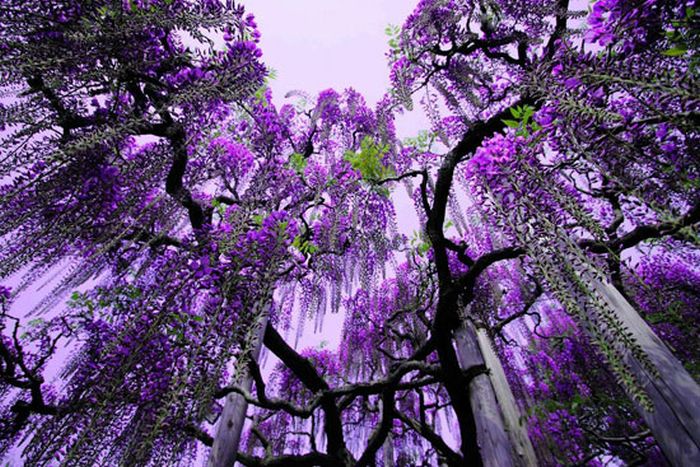 Beautiful Places (39 pics)