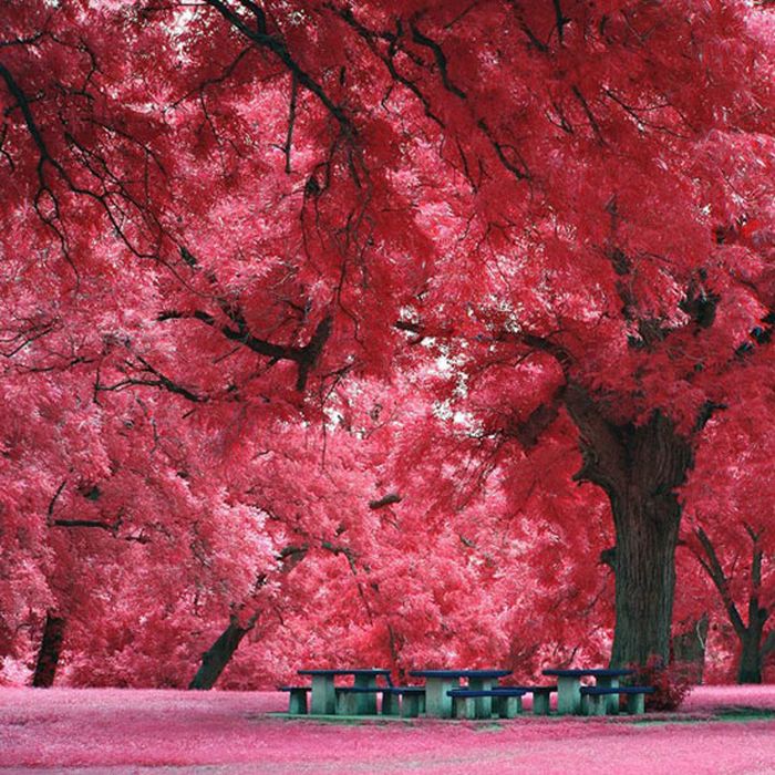 Beautiful Places (39 pics) Beautiful Places (39 pics)